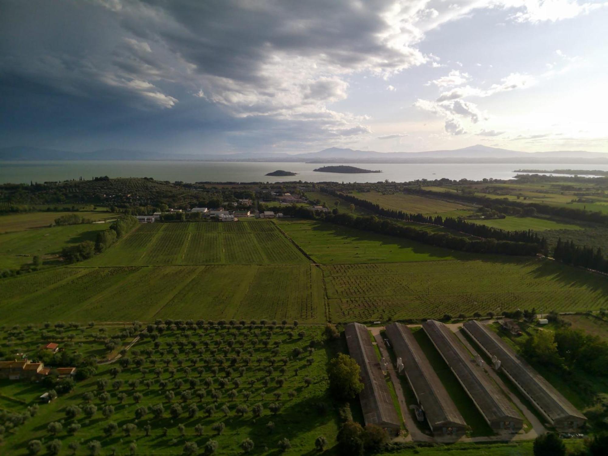 Tra Lago E Collina Passignano sul Trasimeno Extérieur photo